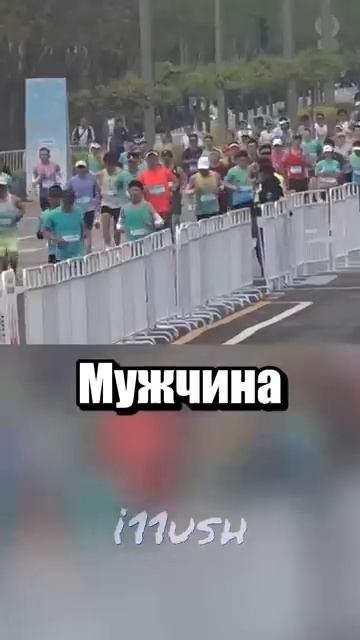 i11ushenka (372)