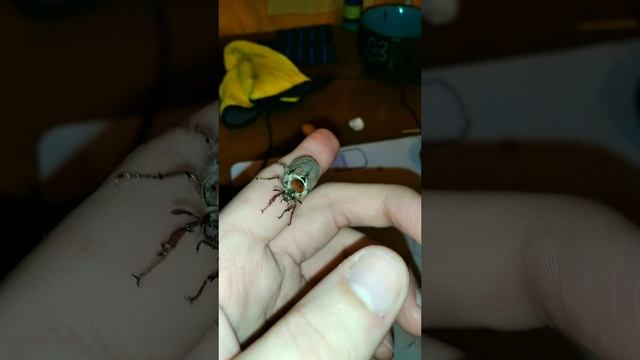 VID_20220515_204733