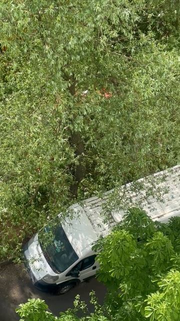 Коммунальщики сегодня пытались трактором косить траву на узком газоне в Крылатском и поломали ветки