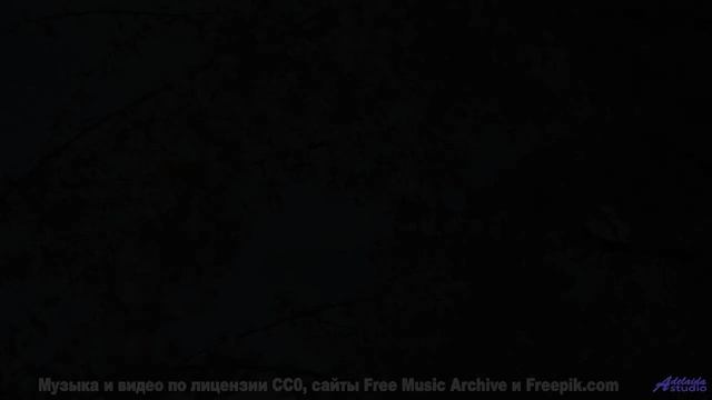 Эти виды заставят вас замереть - а музыка добьёт! - Theatre of the Absurd -- One Man Book -- But Fir