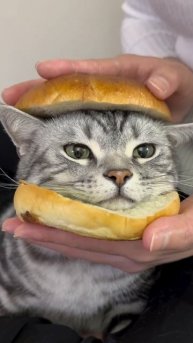 Не ешьте меня 🙀🙀