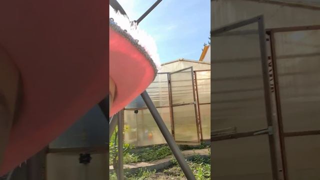 🧹🧺 Я на грядках в 9 утра Дача Огород Дом