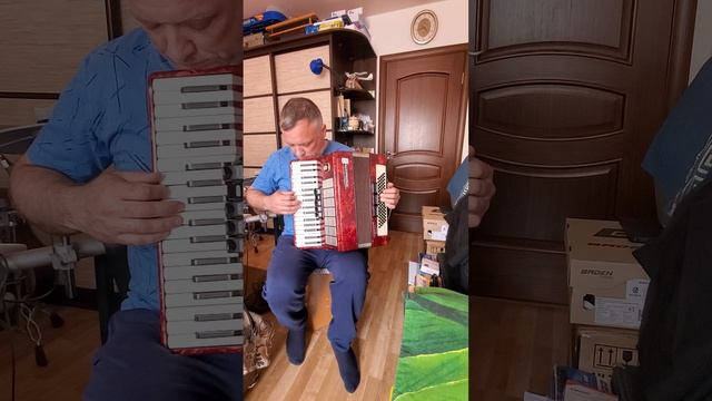 Шикарный Аккорденон Вельтмейстер