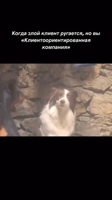 Слушаем. Понимаем. Делаем лучше #строительсводома #брус #дача #стройка #домаизбруса