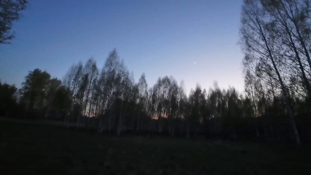 Третий день на вальдшнепинной тяге 2025 г.