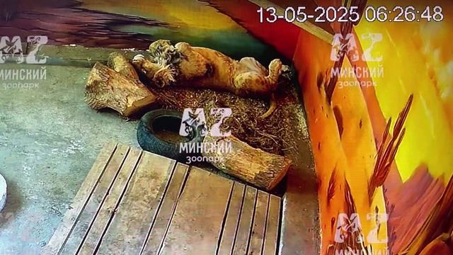 Хороший сон - основа отличного здоровья