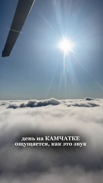 copy_78B1E7B2-0AE9-427F-82B9-AC1CAB81872D