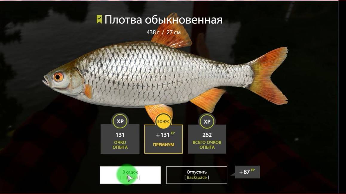 Русская рыбалка 4. Плотва. Троф. Поплавок. 53:94