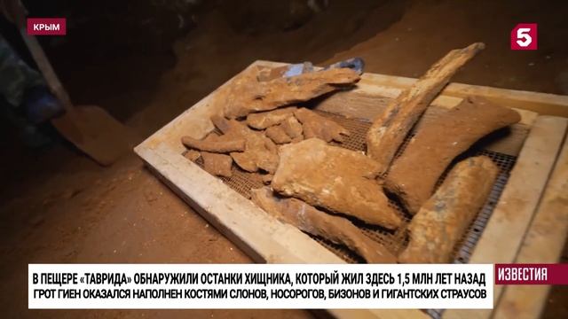 Новый видеосюжет о палеонтологии в пещере Таврида на 5