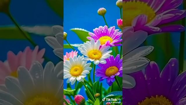 VID_20250524_235820_173.mp4