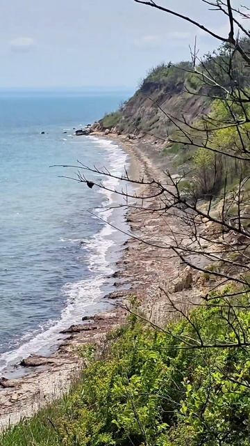 Wildlife. Bulgaria 😎✌️