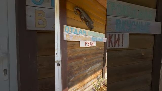 Уссурийск, База Ландшафта