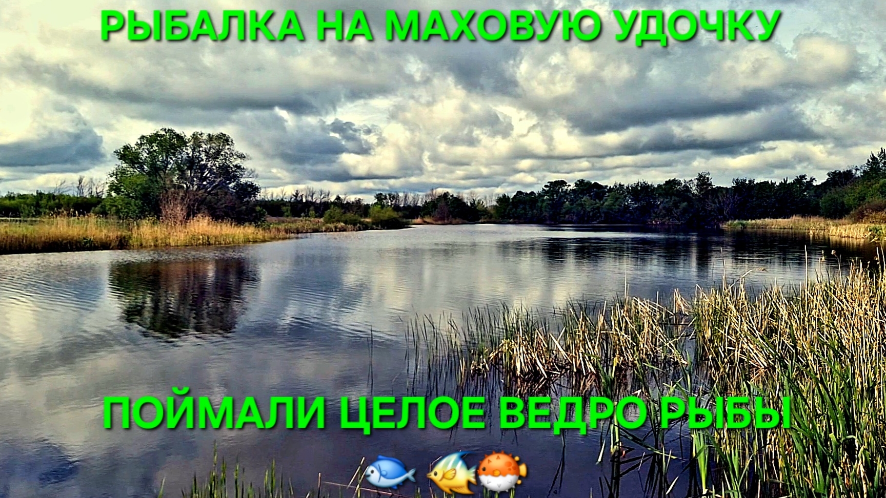 Поймали целое ведро рыбы! Карась на маховую удочку!