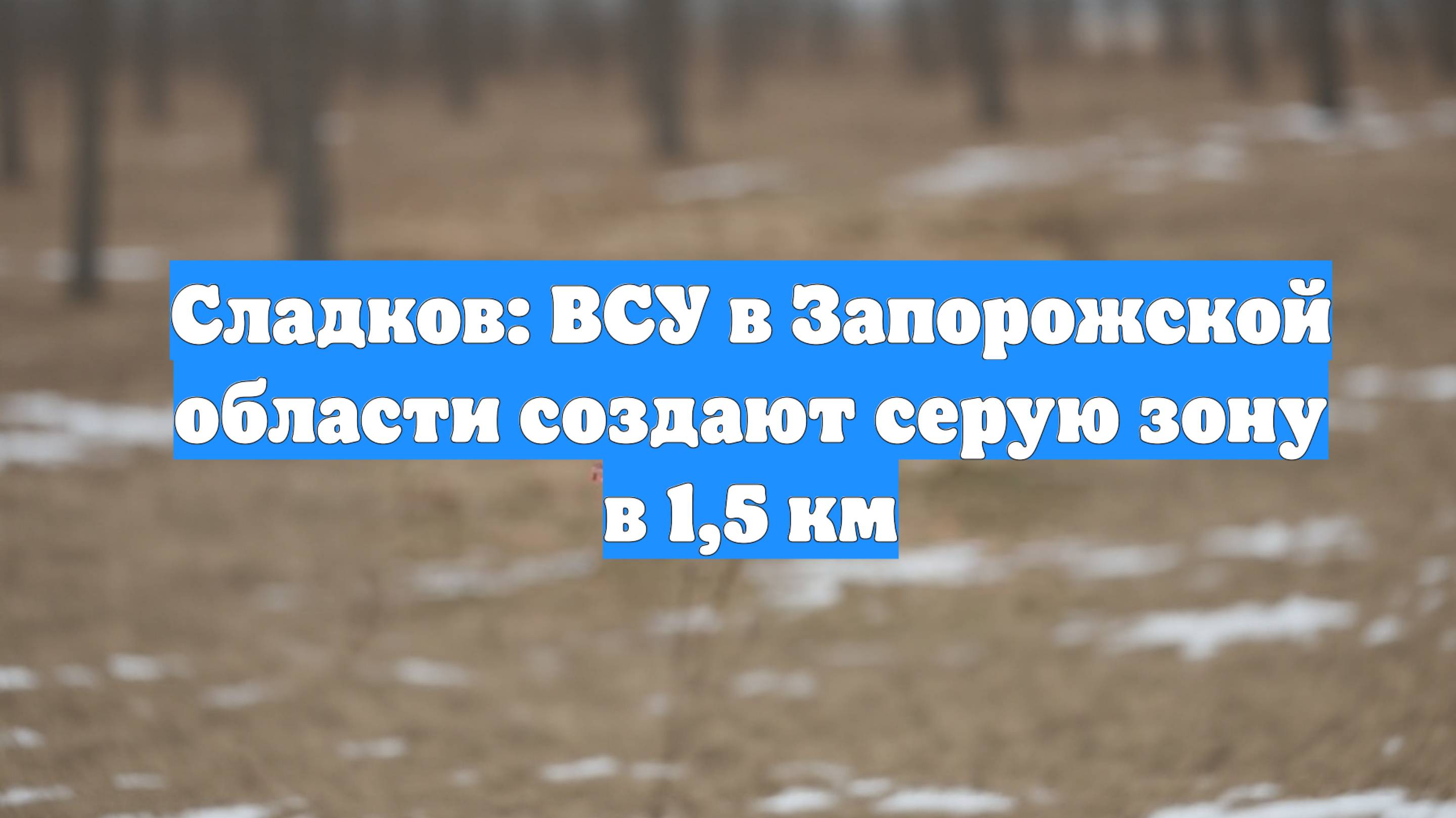 Сладков: ВСУ в Запорожской области создают серую зону в 1,5 км