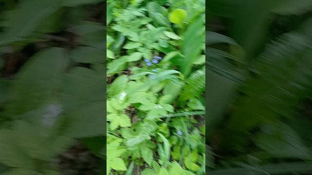 Велосипедная прогулка- часть 2