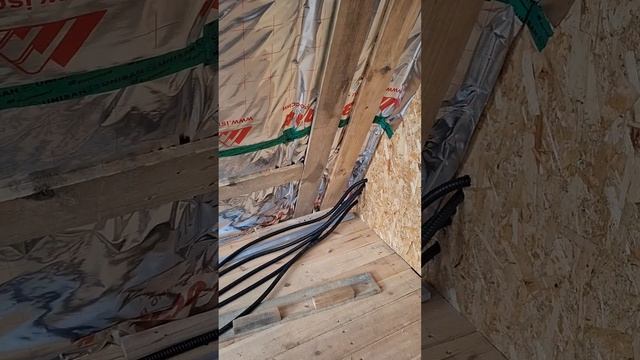 1000024545.mp4 (Собака смотрит на электроснабжение нового дома А-фрейм)
