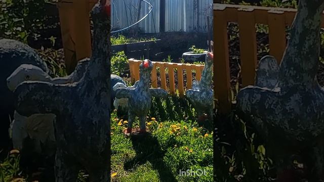 1000005508.mp4