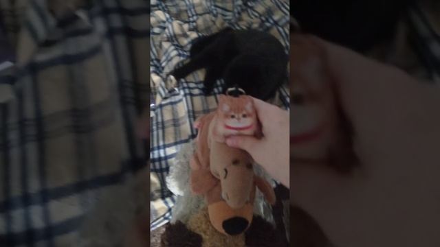 сломанная сфера света.