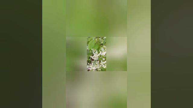 дружба или выгода?