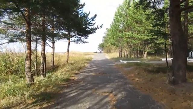 ВЛОГ о Путешествии | Архангельск | Остров Ягры (Северод