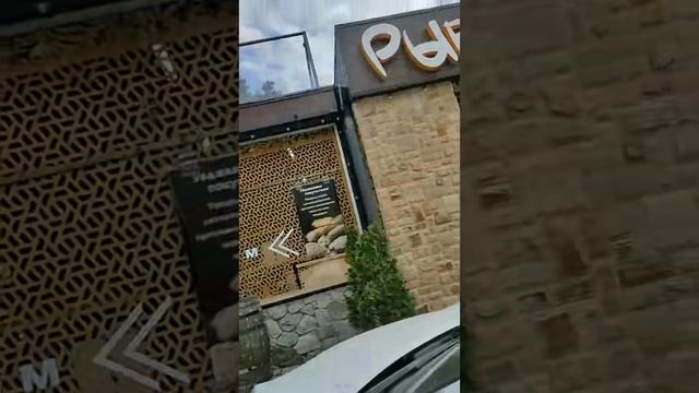 Слухоприрода: звуки невидимой жизни