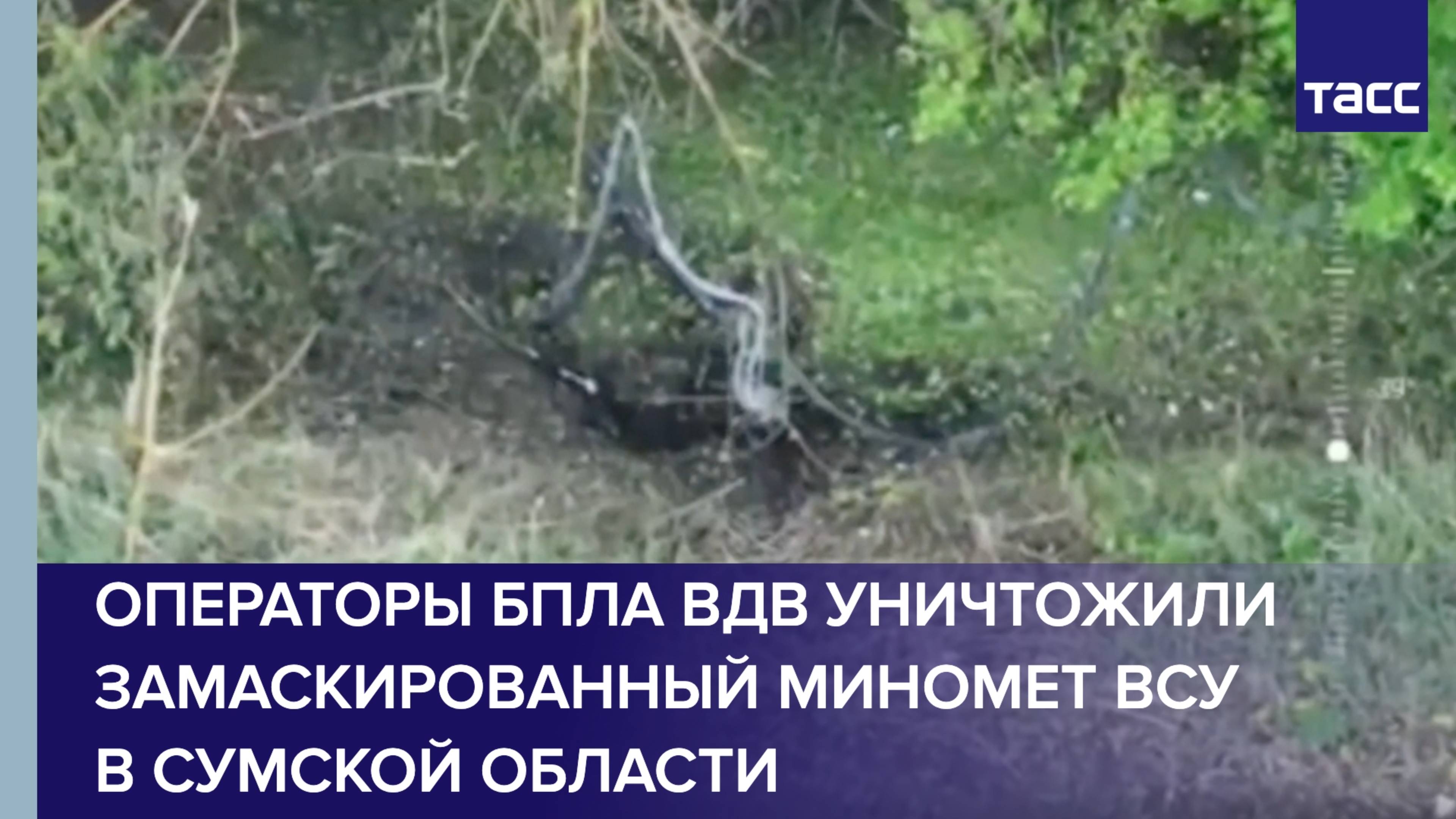 Операторы БПЛА ВДВ уничтожили замаскированный миномет ВСУ в Сумской области