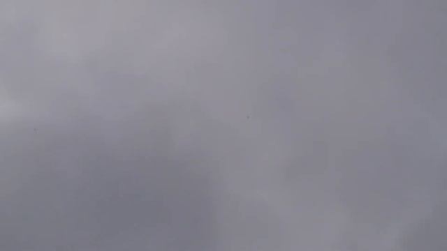 У приглашенного "горе-видеосъемщика" замерзла камера!!