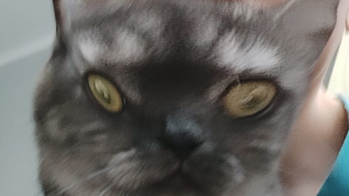 Кто круче?