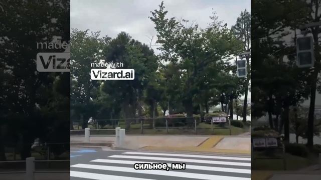 Если землетрясение — будем хайповать до последнего!