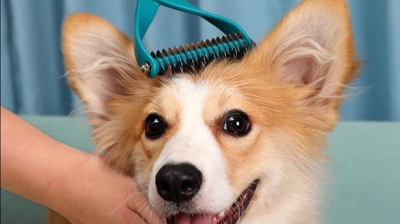 Kim Pets Fur Knot Cutter - идеальный инструмент для ухода за домашними животными и их владельцев.