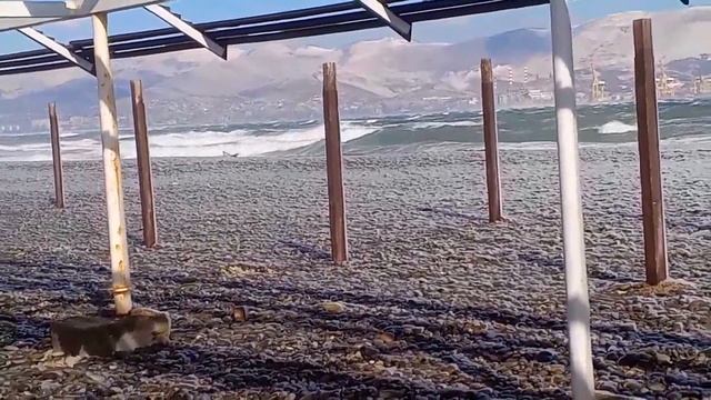 #Новороссийск сильный ветер меня сносит большая волна
