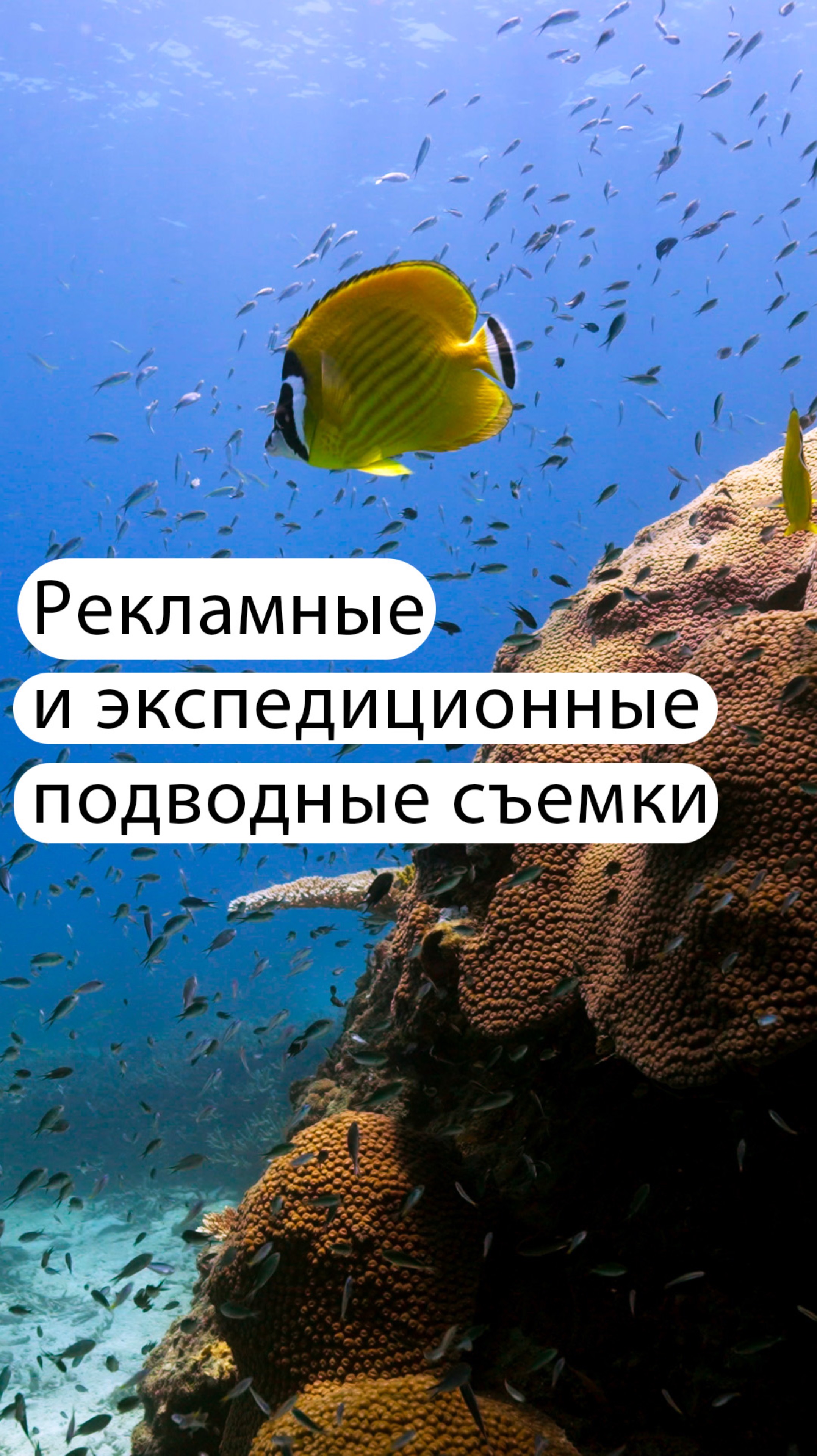 🌊✨ Подводная съемка - Погрузись в волшебство подводного мира вместе с мной! ✨🌊