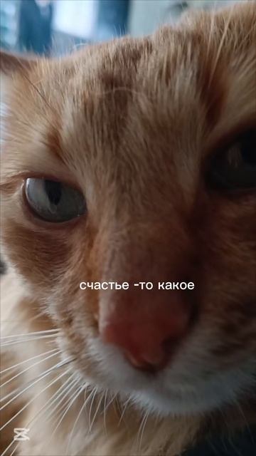 1000045878.mp4