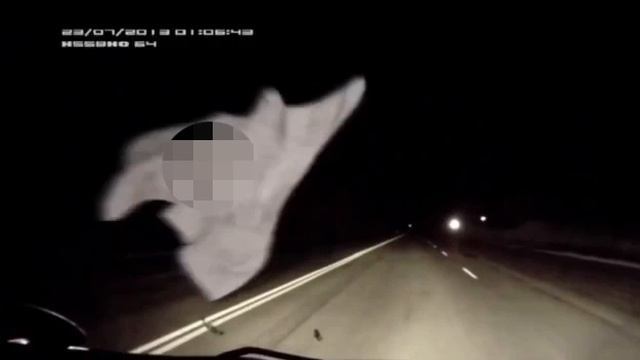 Поздней ночью автомобилист сталкивается с неожиданной встречей