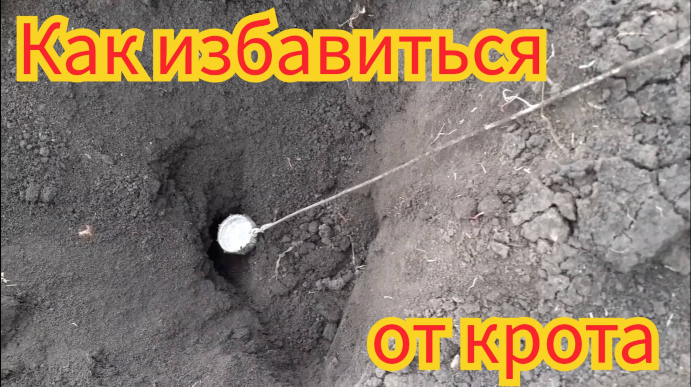 Как избавиться от крота.
