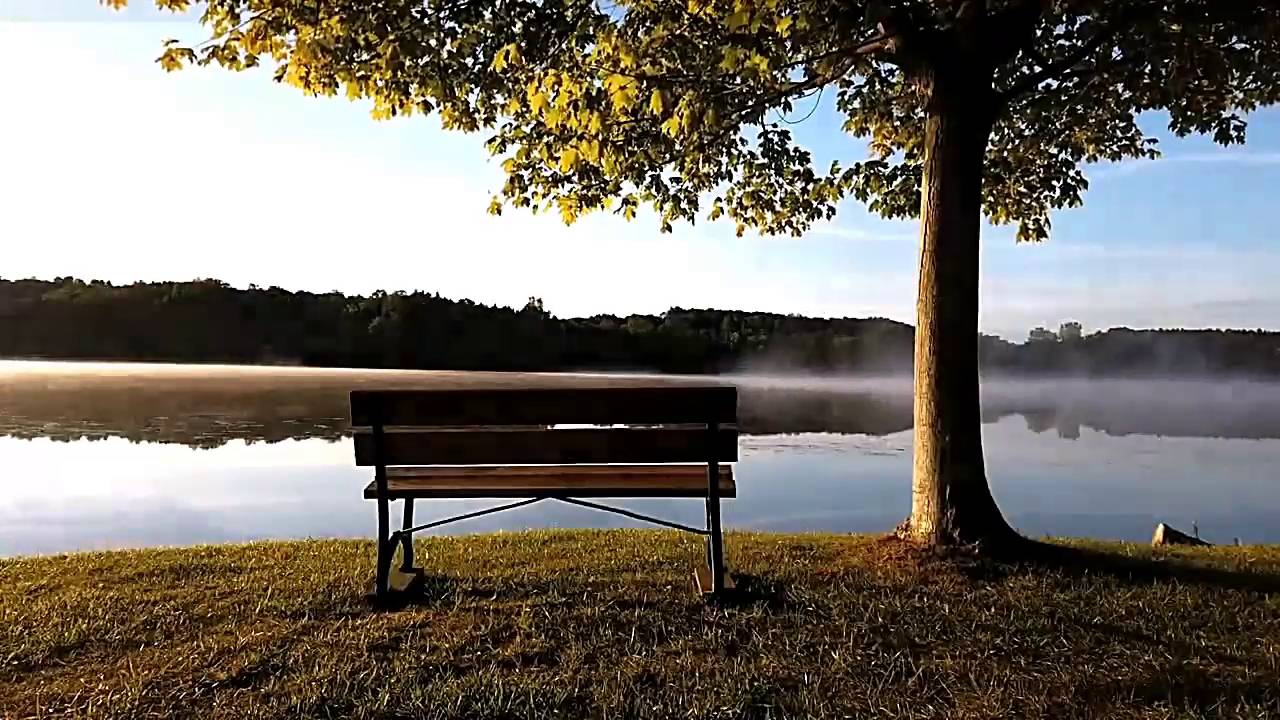 ТАМ, ГДЕ КЛЕН ШУМИТ