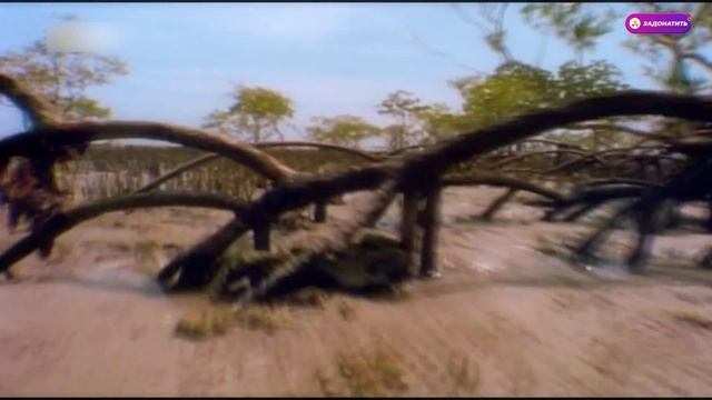 Спинозавр: Самый крупный хищник на Земле!