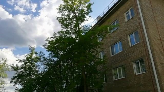 Как филолог, небо и деревья, - их красу скорее опишу