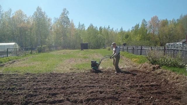 Сашкин огород , пахота .