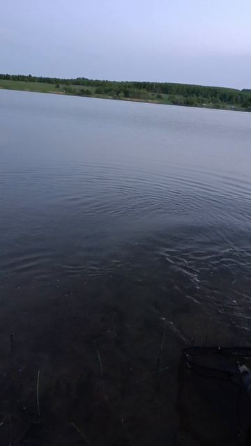 Щука на 4 кг