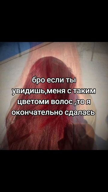 VID-20250511-WA0003.mp4