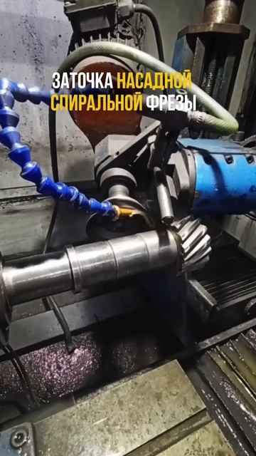 🛠️ Заточка насадной спиральной фрезы — процесс, требующий точности и опыта.