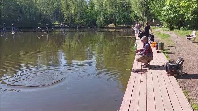 Поимки форели на нижнем водоёме. Клёвое место, Лосиный остров.