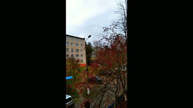VID_20191103_111300