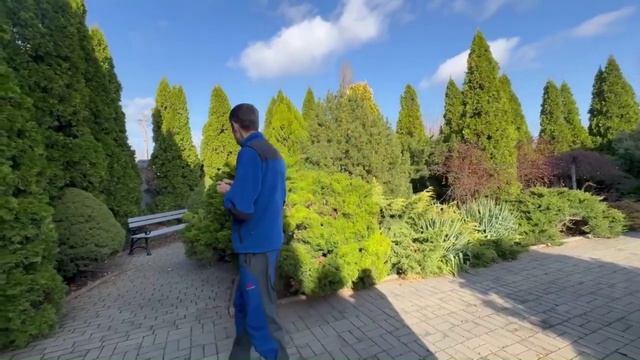 История. Шерхан. Здесь каждый куст знаком...шортс