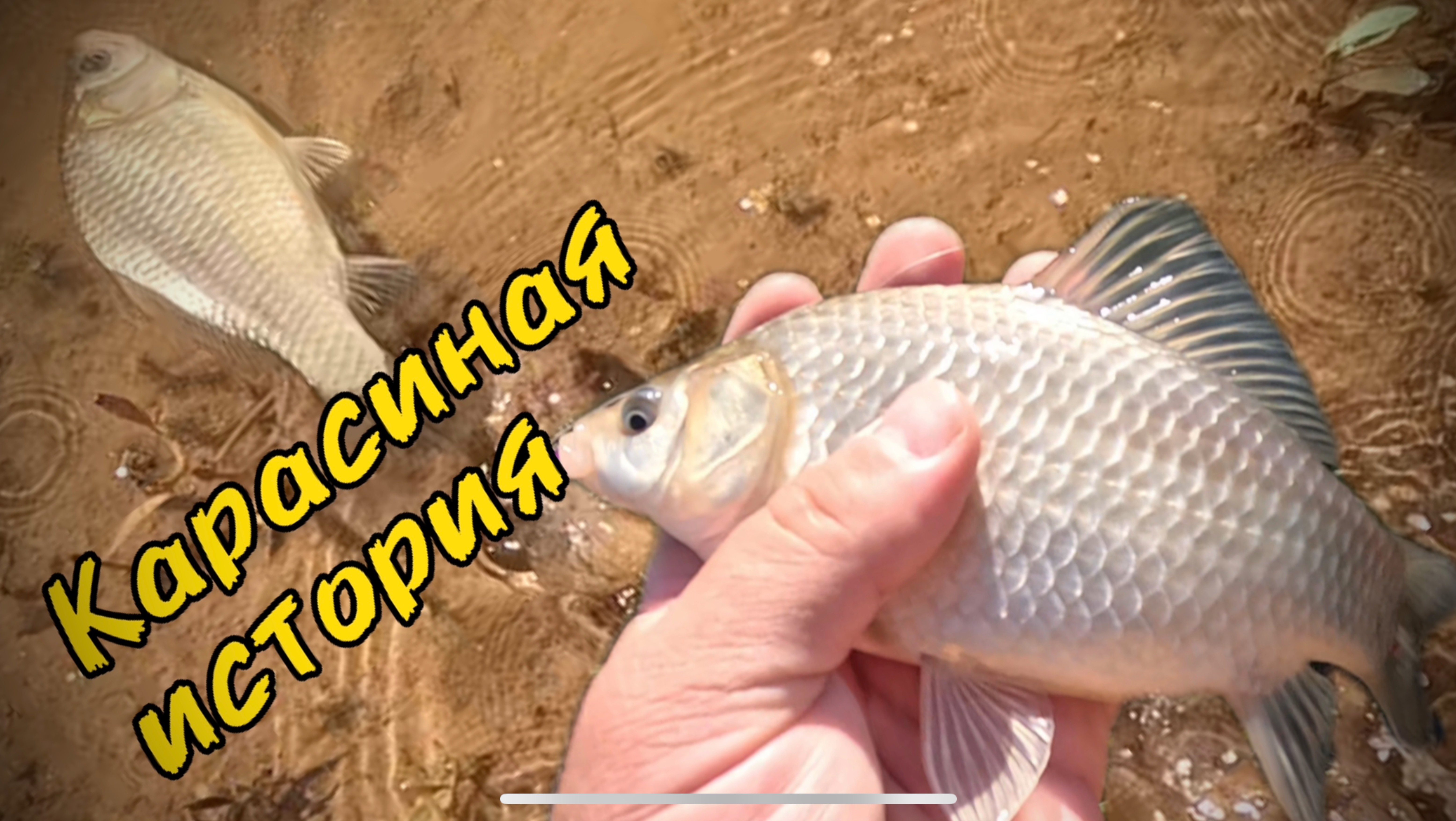 Микроджиг и пассивные караси