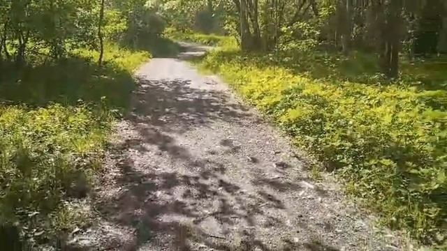 25-05-2025  Скажите, сколько стоит  женщина у нас?