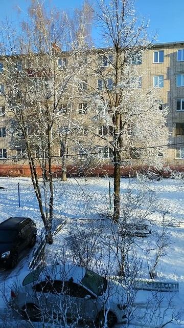 PXL_20250316_082334247
