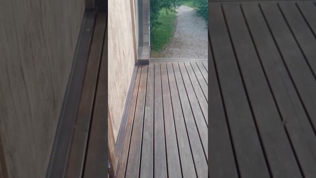 VID_20250525_181432 — копия