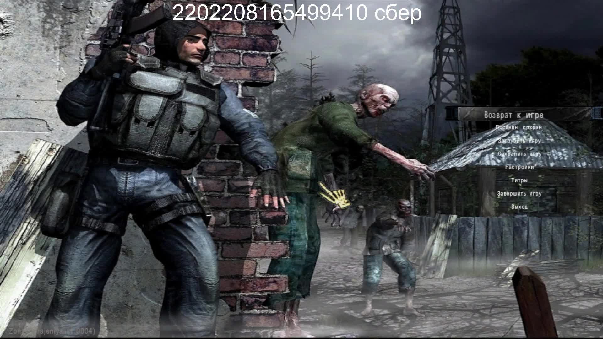 Stalker_zona_porazenia_novaya_era №1